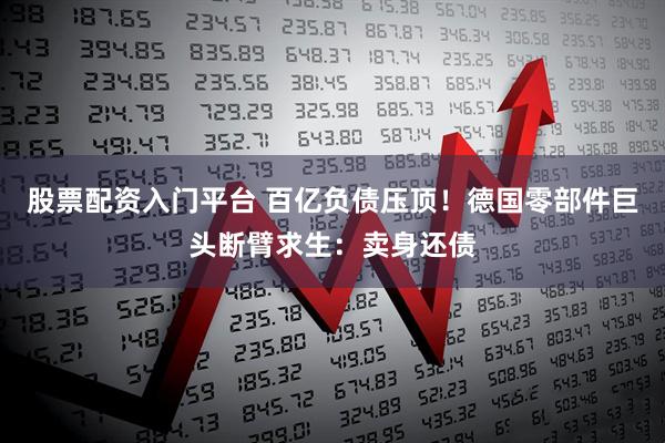 股票配资入门平台 百亿负债压顶！德国零部件巨头断臂求生：卖身还债