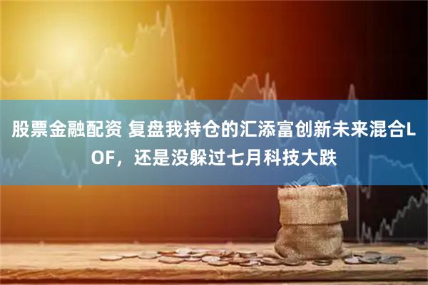 股票金融配资 复盘我持仓的汇添富创新未来混合LOF，还是没躲过七月科技大跌
